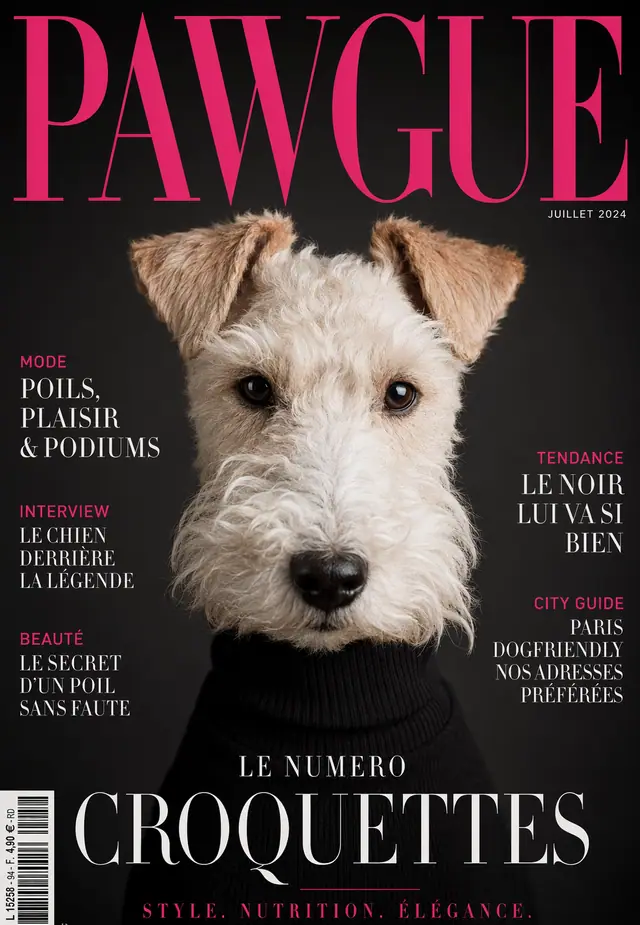Portrait animal style magazine mode milou.pet